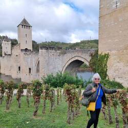 Stunted grapevine everwhere. Not sure why?