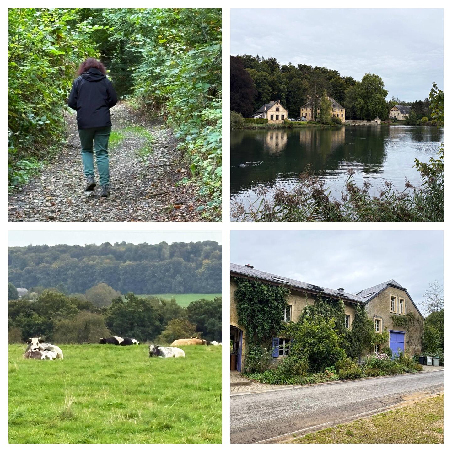 Runde durch Feld und Wald