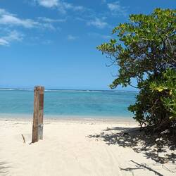 Soleil vers l'océan