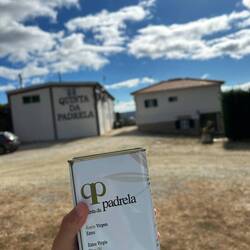 Neues Olivenöl🫒😋