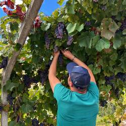 Arbeit, Arbeit, Arbeit...für den eigenen Verzehr😅
