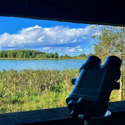 Ausblick auf Vogelschutzgebiet