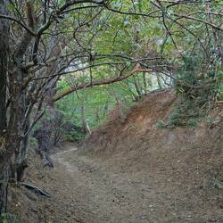 Weg vom Campingplatz Alexa zum Strand
