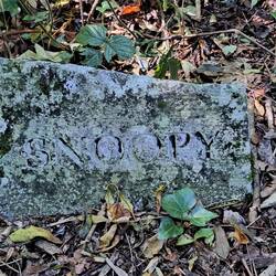 Snoopy liegt hier...schnüff