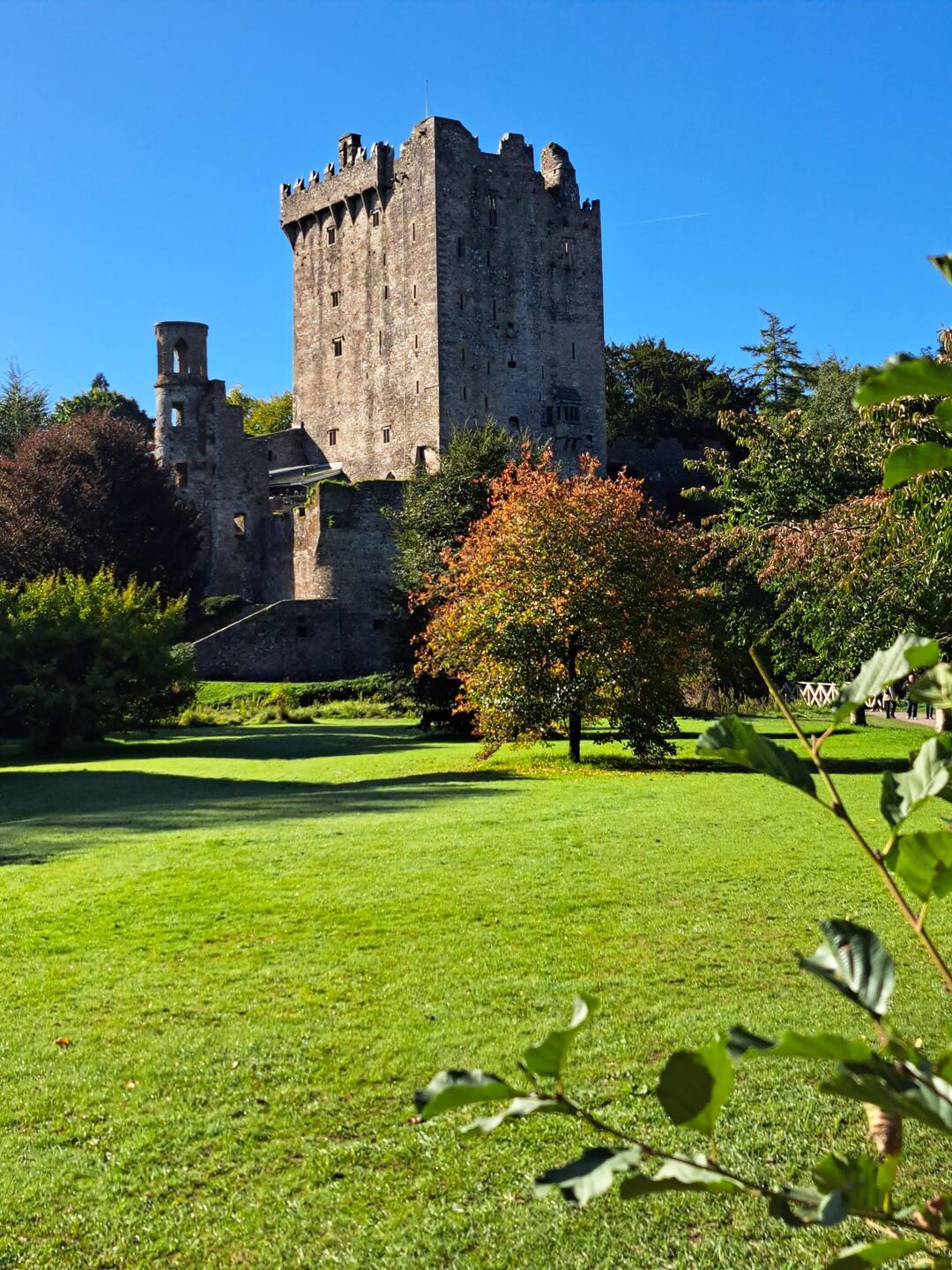 Blarney Castle