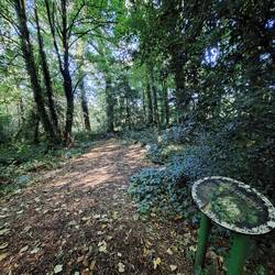 Friedhof der Kuscheltiere