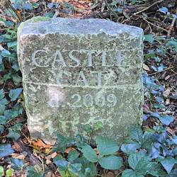 Und die Schlosskatze