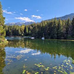 ....schöne Stimmung bei Sonnenschein...