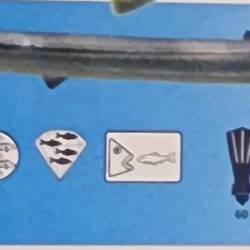 Keeltail needlefish (Kielschwanz Hornhecht)