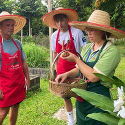 Mod explaining the herbs