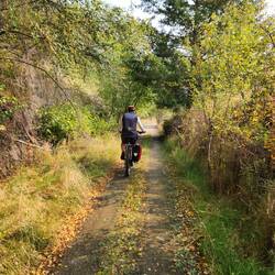 Signs and colors.of Fall