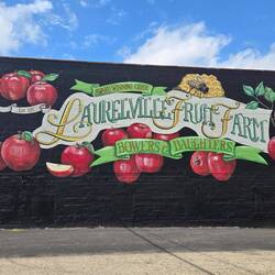 A fun sign along the road