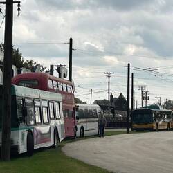 Another trolley bus pic