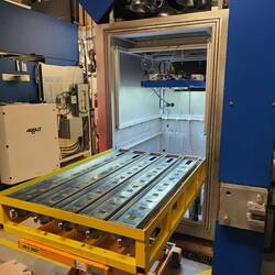 Und rein in die Kammer und für 21. Tage bei 20°C, 65% relativer Luftfeuchte und PPFD 200 backen