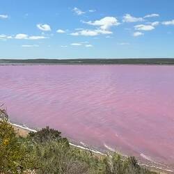Hutt Lagoon (pink lake) Port Gregory