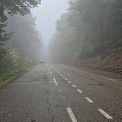 Dann noch Auto gesucht