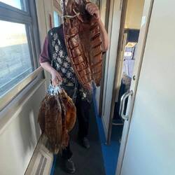 Smoked fish for lunch anyone??? Vendor stored her fish in our carriage before we arrived :(