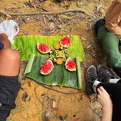 Immer genug Vitamine