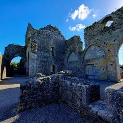 Mitten im nirgendwo ich und eine Herde schwarzer Kühe