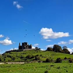 Kommentar von Herrn Radau: "...und die Geier kreisen"