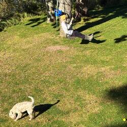 Schaukeln ist doch wunderbar ☺️