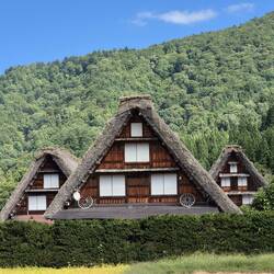 Das Motiv ,The three Houses' kennt jeder Japaner