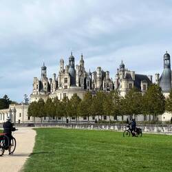 Back of Chambord