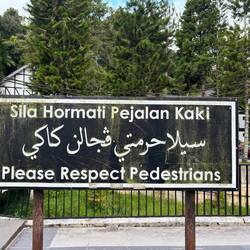 Straße überqueren ist mitunter lebensgefährlich