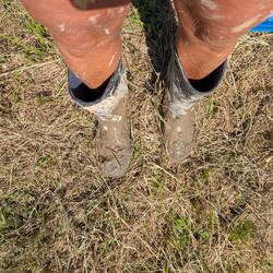 Matschepampe überall