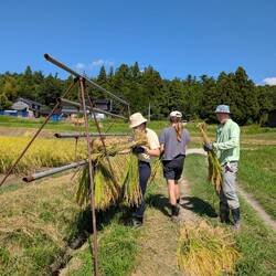 Reisbündel aufhängen