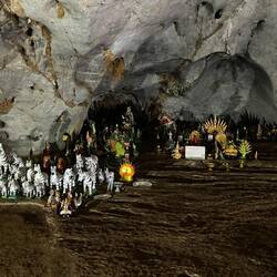 No idea if the significance of zebras