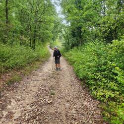 Typical of our walk today