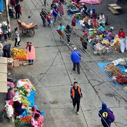 At 6am its already started. Spot the pig on a tricycle