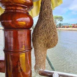 Schau mal, ines. Die haben wir doch schon mal gesehen.