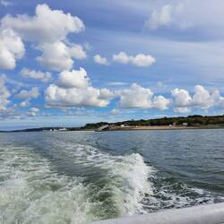 Zurück nach Cobh bei traumhaftem Wetter