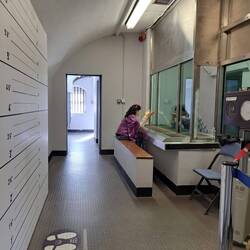 Erkennungsdienstliche Erfassung