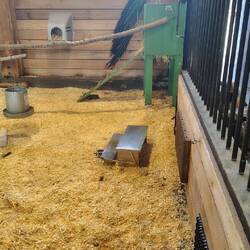 Der Beweis: Kein Huhn, Deckel zu.