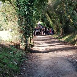 Schulgruppe ohne Durchkommen