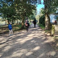 Guardia Civil (Mirko)