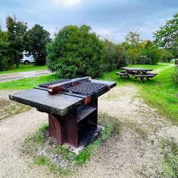 Parrilla y mesa para picnic