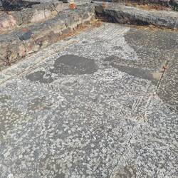 Roman mosaics