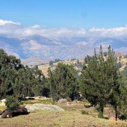 Looking back to the Cordillera Negra whilst the pig gently dozes