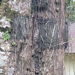 GRABSTELLEN SIND DUNKEL