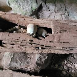FELSENGRAB IN EINER HÖHLE
