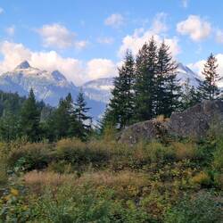 ....hielten wir immer Ausschau nach einem Bären....