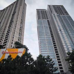 ... die Großstadt erreicht 🏙️