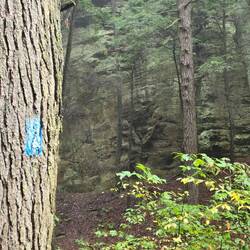 We followed these markers all day