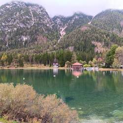 A lake along the way with swams