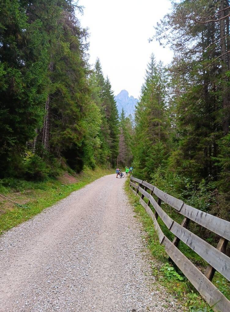 On the trail with Anna