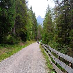 On the trail with Anna